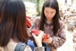 叛逆期孩子不上学怎么办