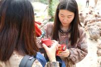 叛逆期孩子不上学怎么办